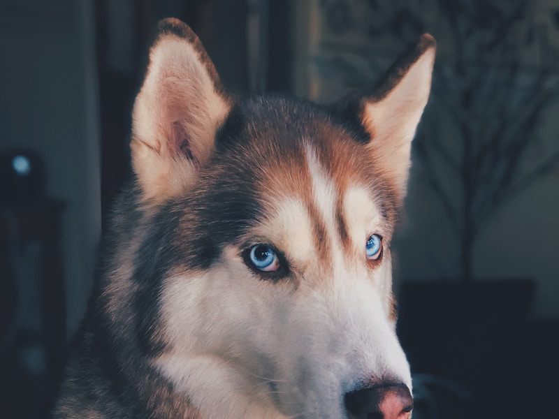 Max — Jestem cichy, ale moje serce bije głośno